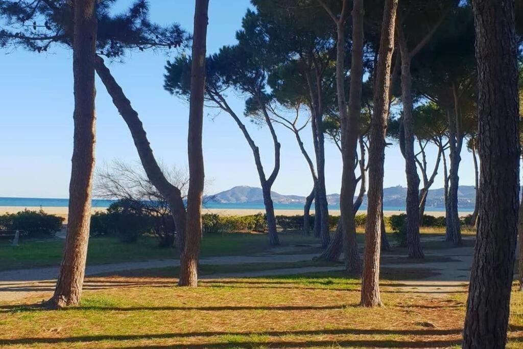 Joli Studio Cabine 4 Personnes A 300 M De La Plage Argeles-sur-Mer Exterior photo